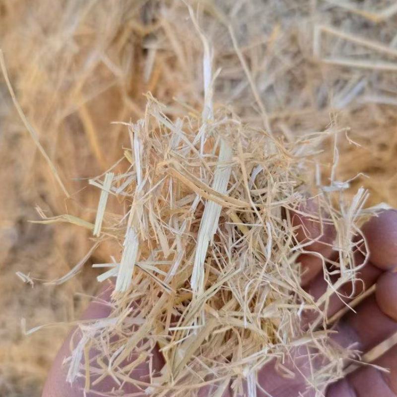 稻草柔丝大方捆稻草草场直发质量稳定可靠