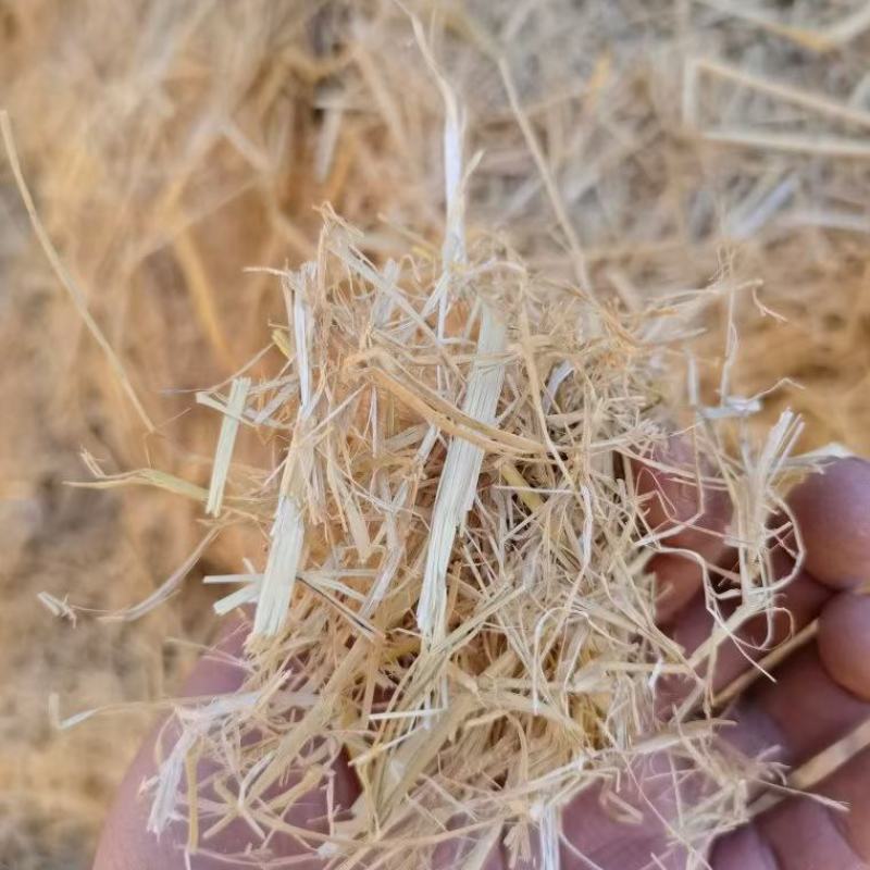 稻草柔丝大方捆稻草草场直发质量稳定可靠