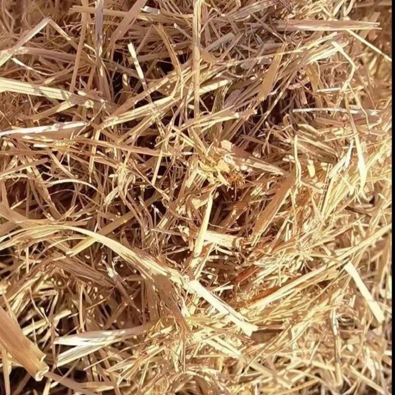 稻草柔丝大方捆稻草草场直发质量稳定可靠