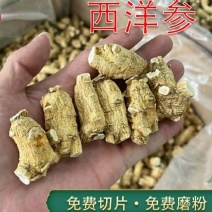 批发中药材西洋参产地新货东北长白山花草茶国产软质西洋参