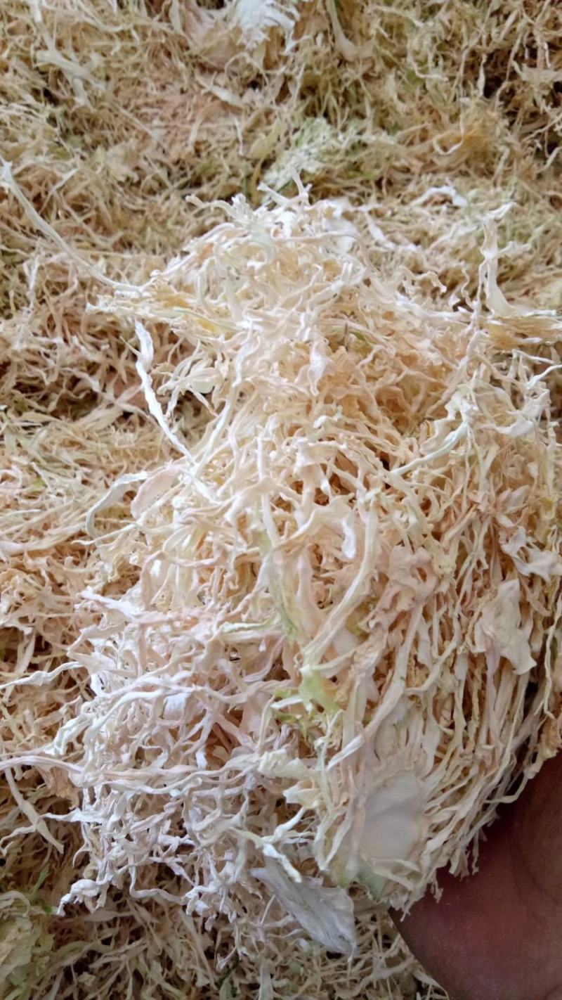 精品包菜丝产地直发品质保证一手货源量大从优欢迎联系