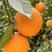 【实力助农】锦橙中华红橙秭归脐橙/承接全国发货保质保量