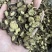甘草甘草切片圆片无硫熏制靓货