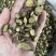 甘草甘草切片圆片无硫熏制靓货