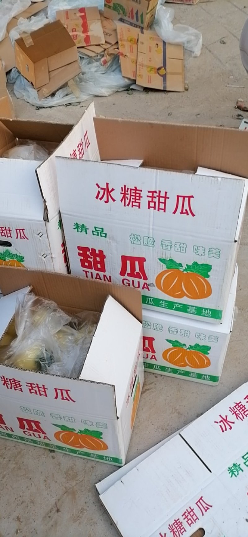 冰糖小白瓜