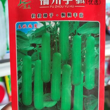 福州芋瓠瓠瓜种子，10克，粗细均匀长25到35厘米