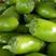 豫北绿茄子青茄大量有货价格美丽质量保证欢迎新老客商联系