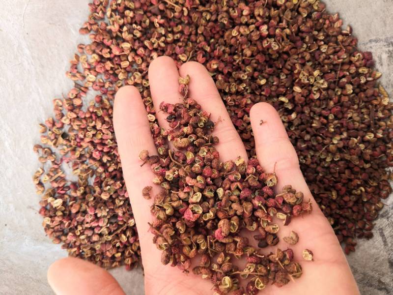 花椒新货各种香料香辛料大货批发各种中药材