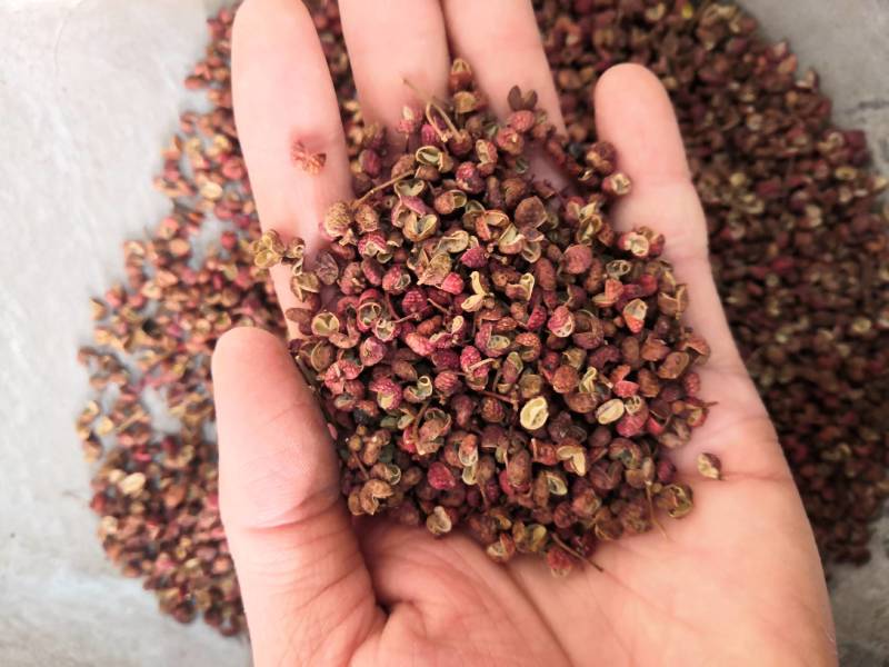 花椒新货各种香料香辛料大货批发各种中药材