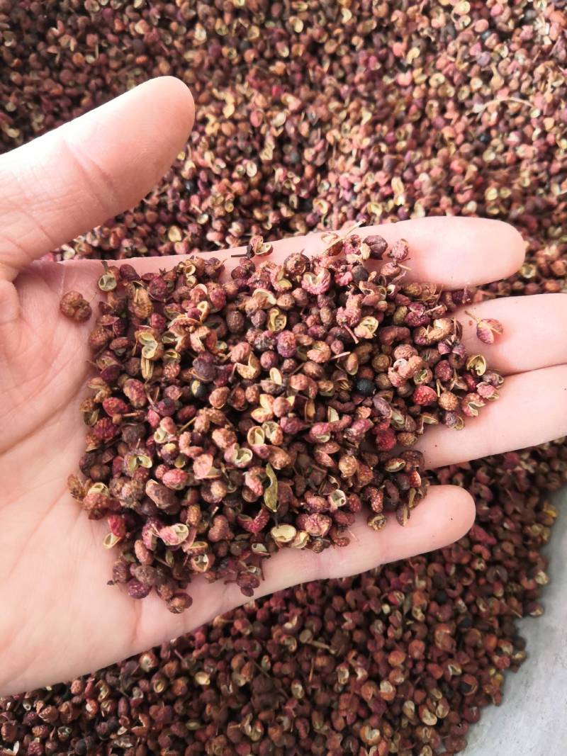 花椒新货各种香料香辛料大货批发各种中药材