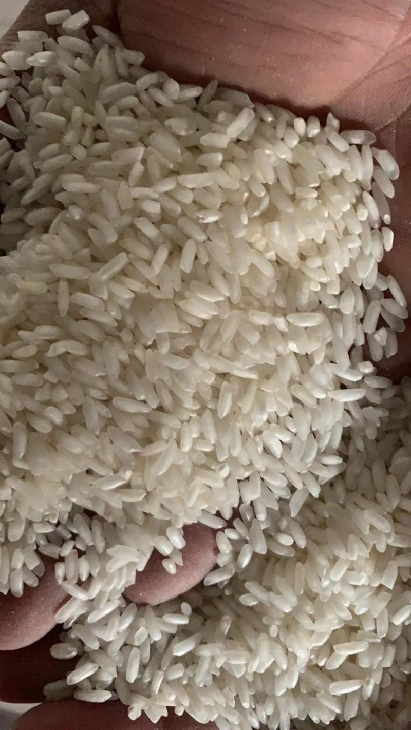 江苏碎米