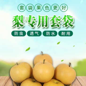 信泉果袋秋月梨袋黄金梨水晶梨翠冠梨双层套袋防水防虫育果袋