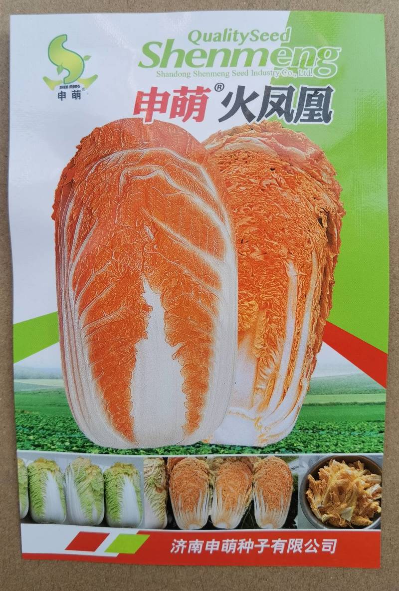 火凤凰大白菜种子橘红心白菜秋播抗热耐寒早熟营养蔬菜种籽