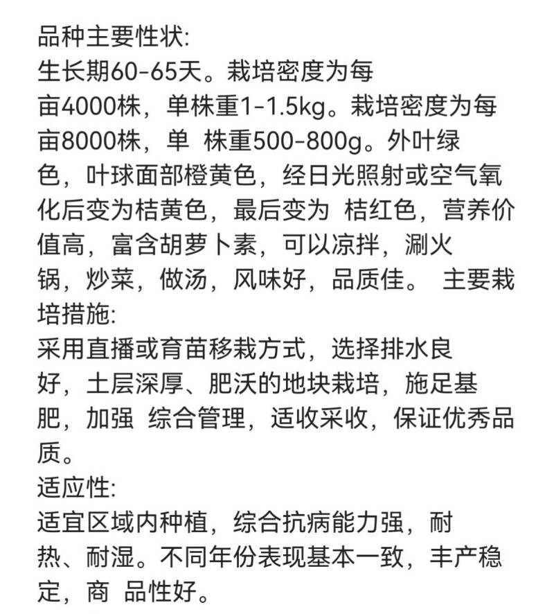 火凤凰大白菜种子橘红心白菜秋播抗热耐寒早熟营养蔬菜种籽
