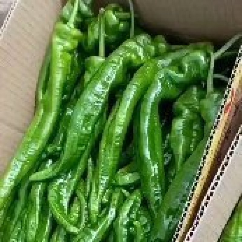 精品螺丝椒