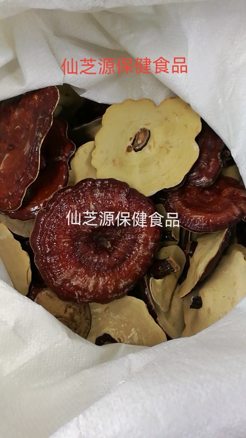 黑灵芝免费打粉大量供应