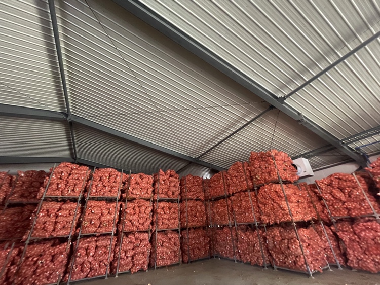 黄皮洋葱储存方法示意图