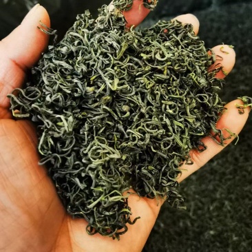 高山绿茶