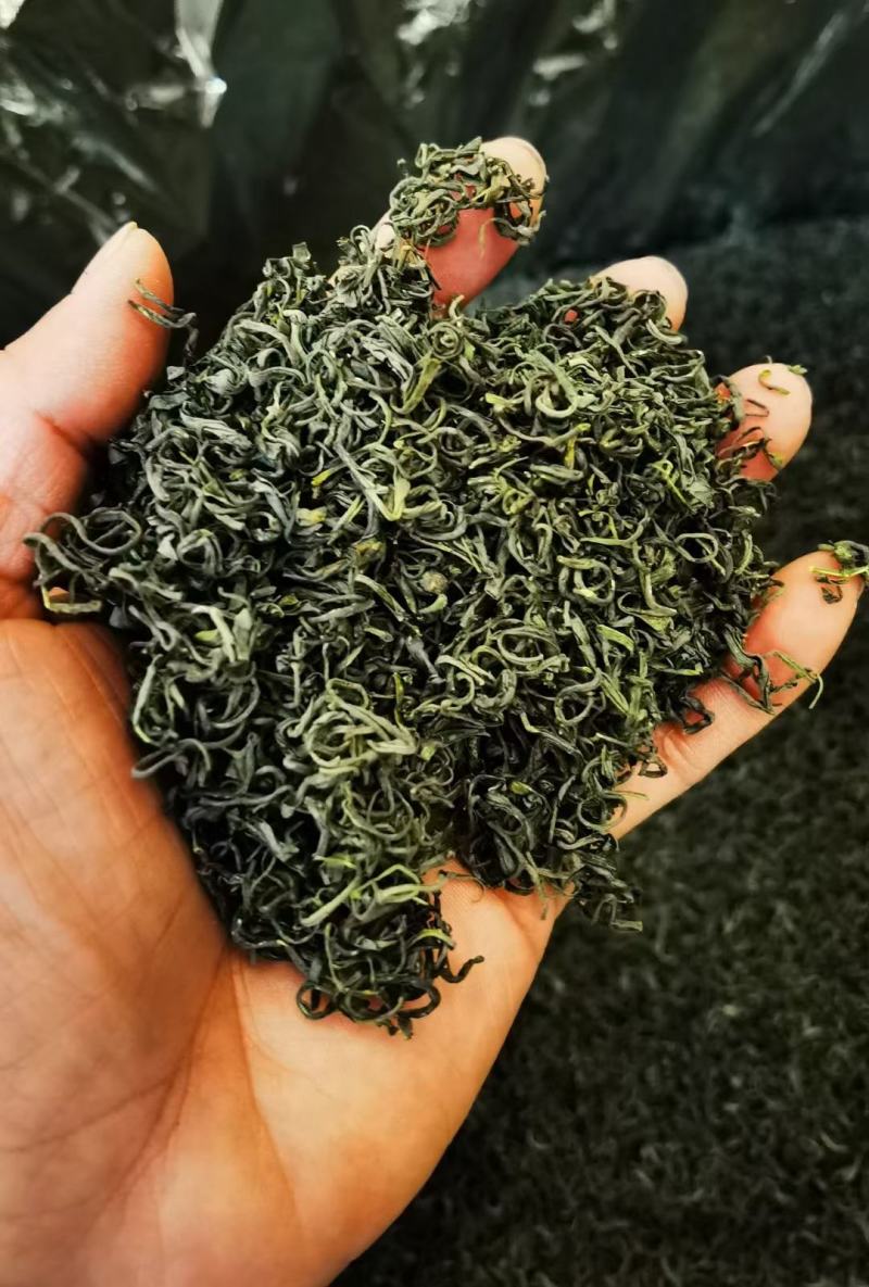 高山绿茶