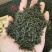 高山绿茶