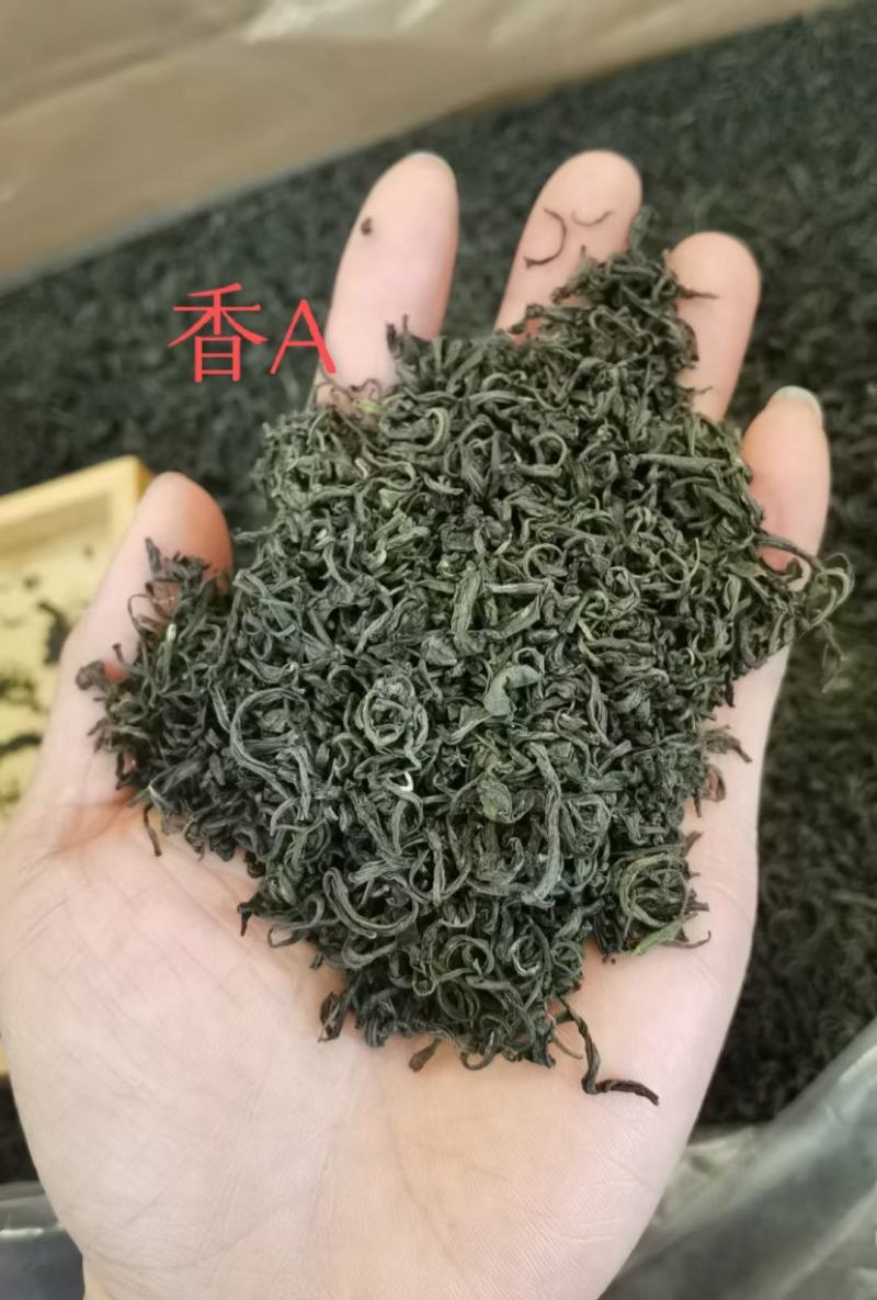 高山绿茶