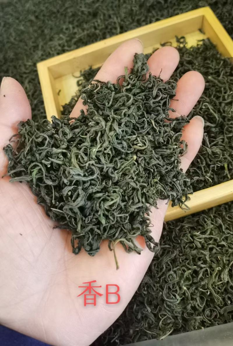 高山绿茶