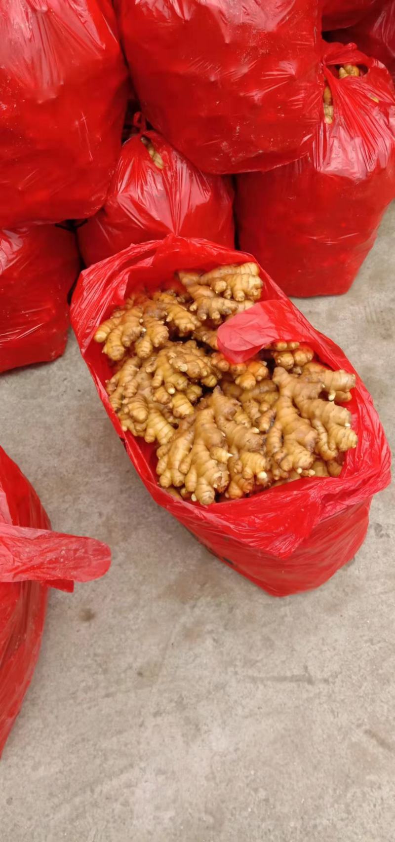 河南优质生姜优质小黄姜，产地直发，全国发货，货真价实
