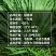 杂交狼尾草种子，牧草种子四季高产牛羊鱼兔牧草种子种籽批发