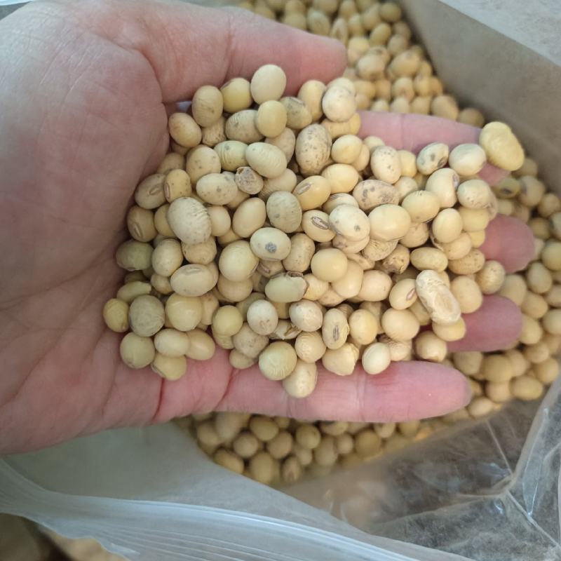 豆腐专用