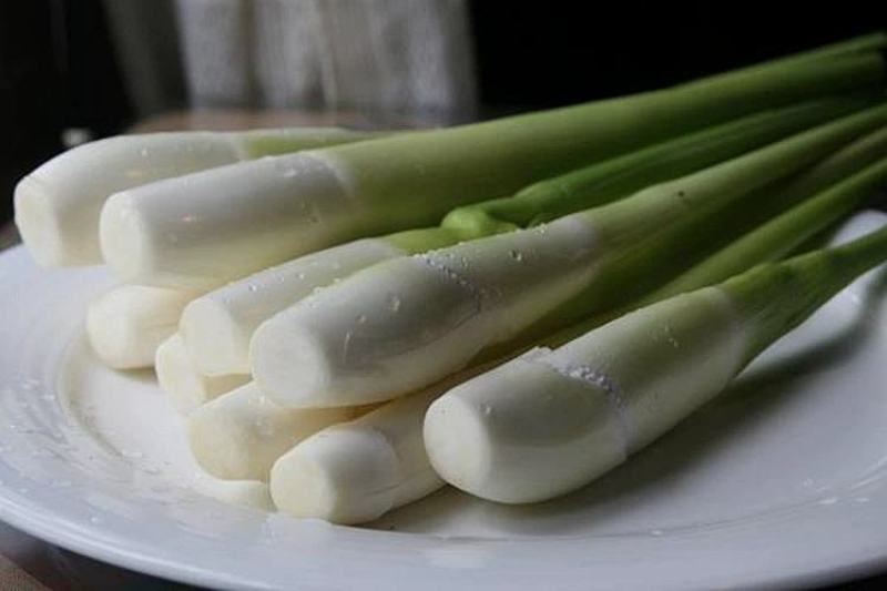早熟改良型双季茭白苗种四季茭瓜苗高笋种苗高瓜苗老蹲苗水生