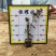 【潮州红三角梅红花勒杜鹃】各种规格欢迎合作详谈