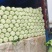 精品平度白菜黄心大白菜大量上市产地直发欢迎采购