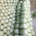 精品平度白菜黄心大白菜大量上市产地直发欢迎采购