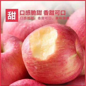 新鲜苹果红富士【承接电商微商社区团购一件代发】