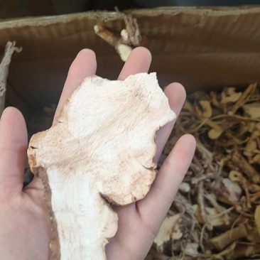 野生土茯苓粉质白肉
