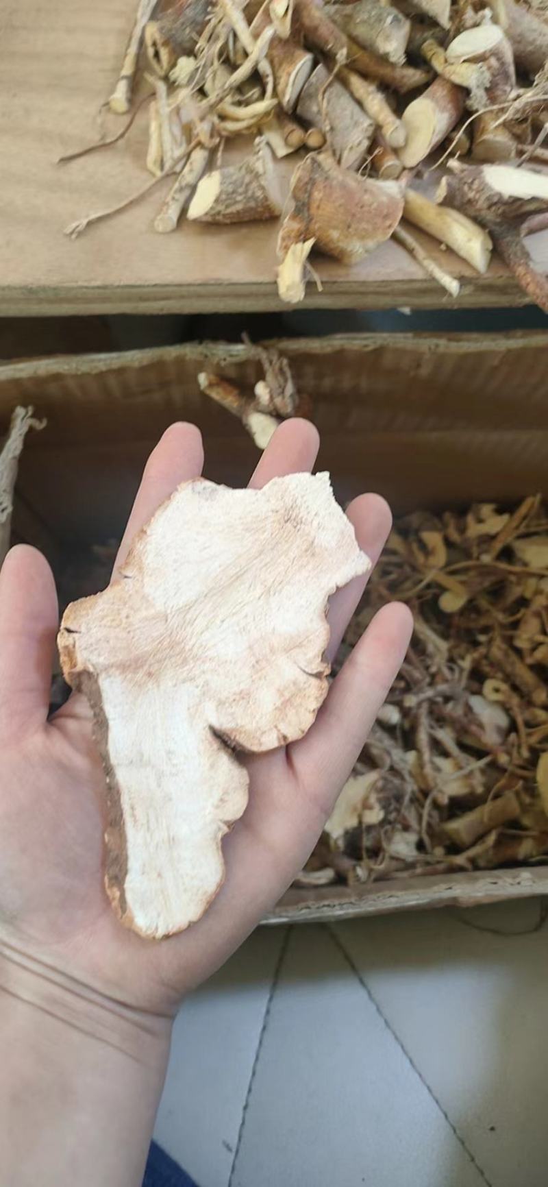 野生土茯苓粉质白肉