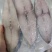 【推荐】广西北部湾船冻天然马鲛鱼片，肉质鲜美好吃。