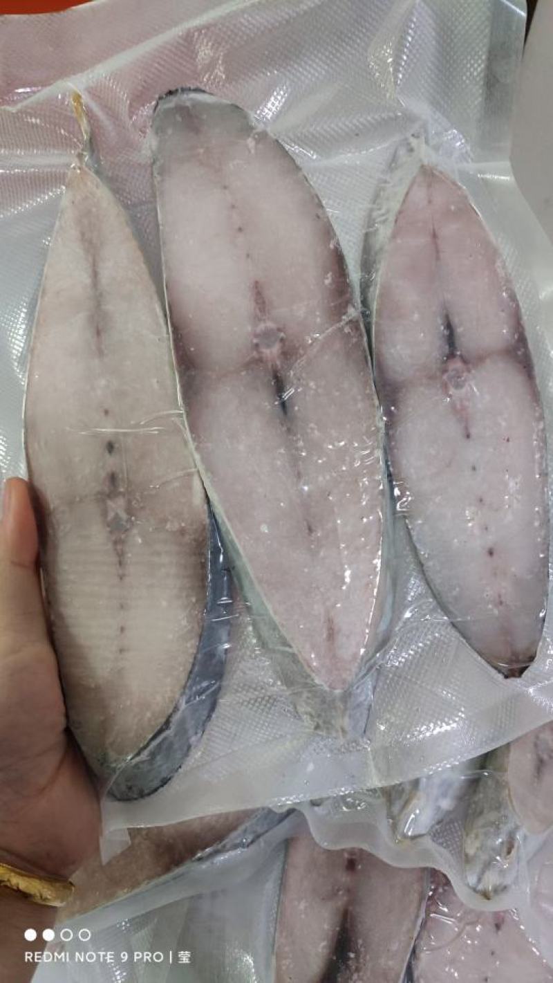 【推荐】广西北部湾船冻天然马鲛鱼片，肉质鲜美好吃。