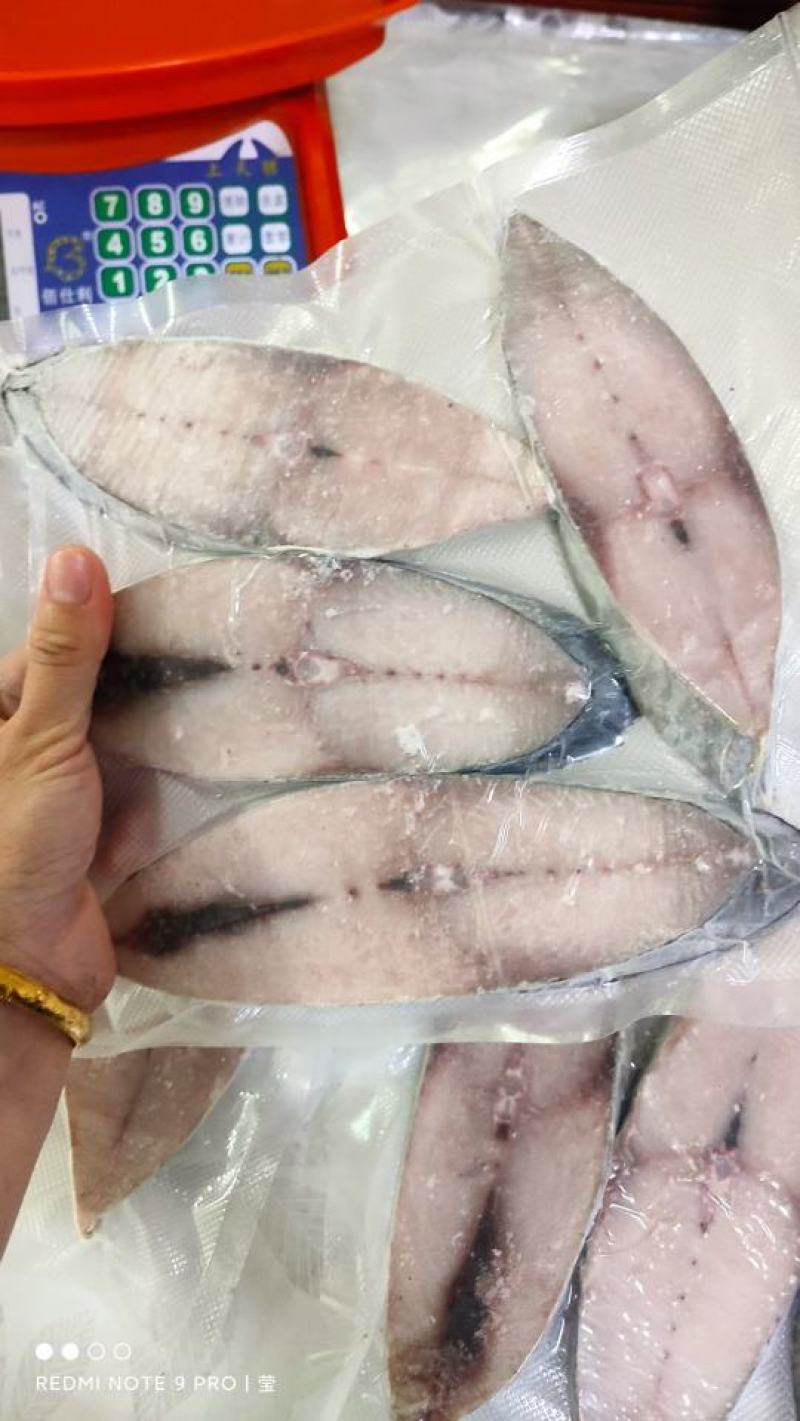 【推荐】广西北部湾船冻天然马鲛鱼片，肉质鲜美好吃。