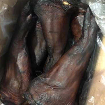 A级腊猪脚（适合汤锅，门市，摆摊，展会等，量大从优