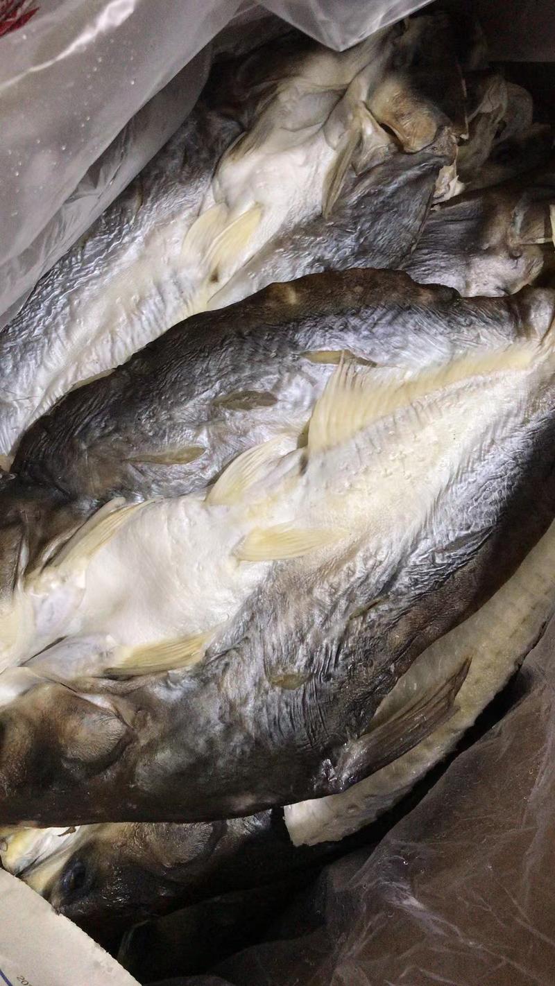 巴沙鱼干开背巴沙鱼肉质细嫩刺少适合红烧烤鱼