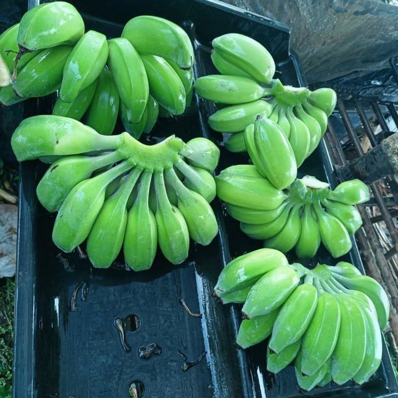 苹果蕉