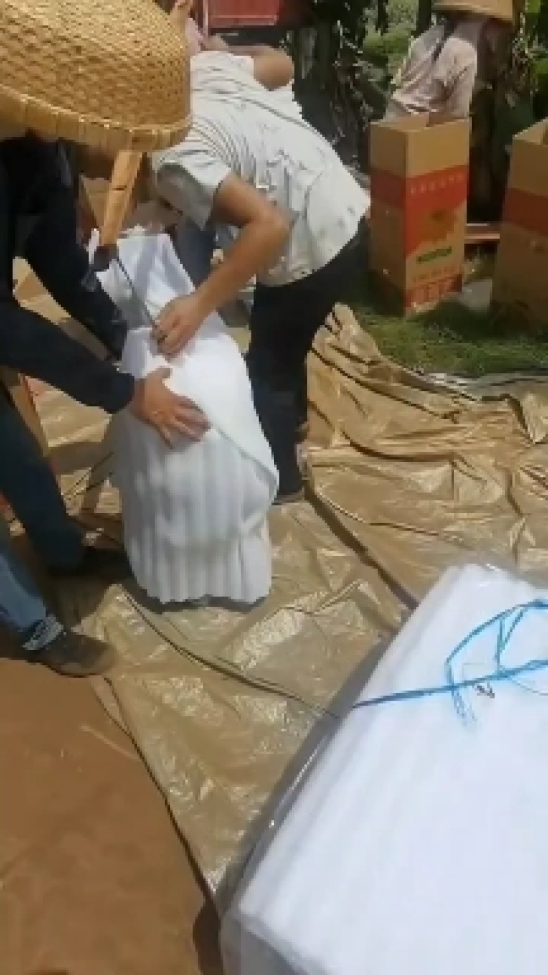 苹果蕉