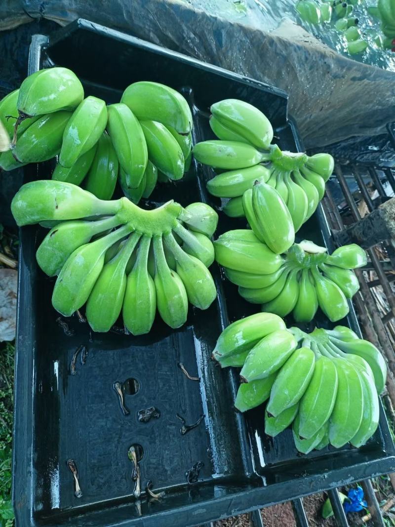 苹果蕉