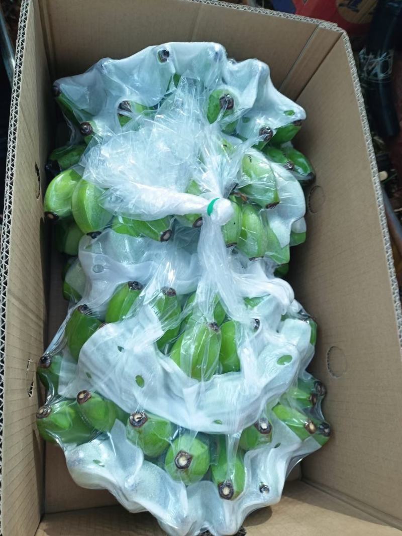 苹果蕉