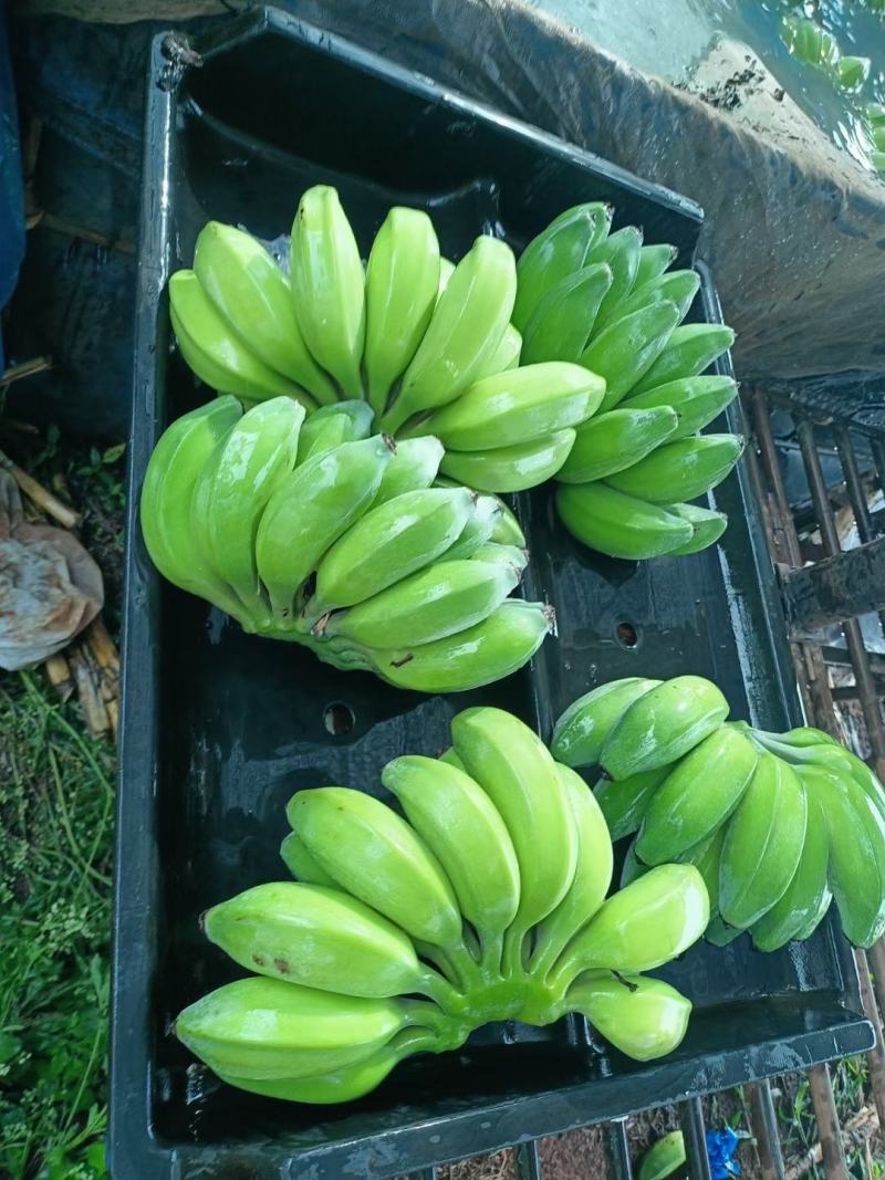 苹果蕉