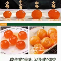 正宗咸鸭蛋黄质优价美