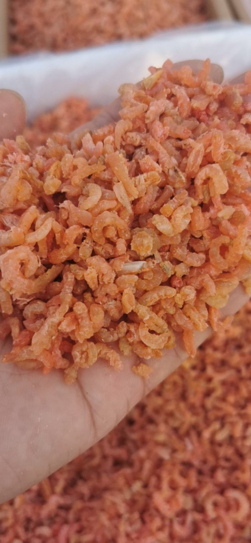 小海米，电商平台，团购专用，水饺，混沌厂专用。