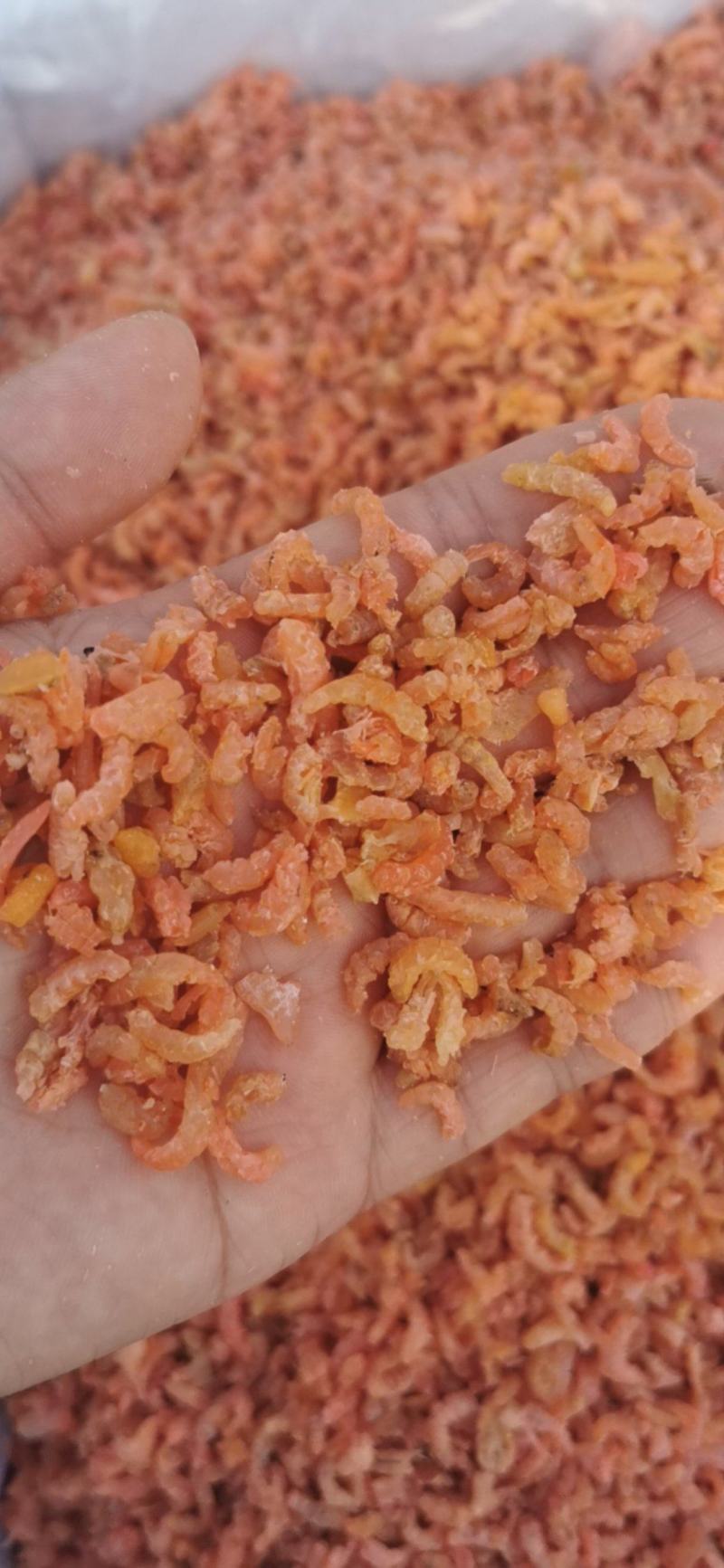 小海米，电商平台，团购专用，水饺，混沌厂专用。