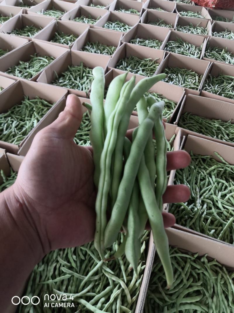 玉米配豆角玉米0.7精品豆角1.5大量有货需要联